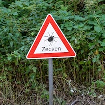 Die meisten Stiche ereignen sich in der Freizeit, vor allem zwischen Mai und Juli.