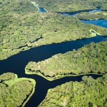 Wenn die Biodiversität schwindet, droht der Zusammenbruch der Ökosysteme: Amazonas-Regenwald im brasilianischen Bundesstaat Pará.