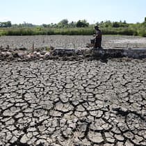 Rizières craquelées en raison de la sécheresse persistante dans la région d'Aceh Besar, en Indonésie, en juillet 2026. La plupart des zones de la province d'Aceh et plusieurs autres régions d'Indonésie sont déjà entrées dans la saison sèche, tandis que le phénomène El Niño devrait atteindre une forte intensité d'ici janvier 2027.