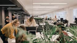 Gemischtes Team: Bessere Ergebnisse durch verschiedene Kompetenzen.