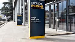 Groupe Mutuel und Neho arbeiten künftig zusammen.