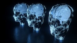 Die Künstliche Intelligenz (KI) bietet neben Chancen auch Gefahren.
