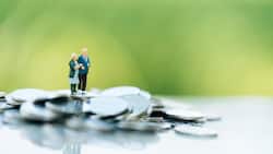 Beitragsorientierte Sparpläne treiben das Wachstum der Pensionsvermögen voran.