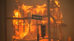 Die Waldbrände in Los Angeles sind das grösste versicherte Waldbrand-Schadenereignis der Sigma-Statistik.
