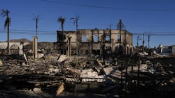 Des commerces brûlés par l'incendie de Palisades dans le quartier de Pacific Palisades à Los Angeles.