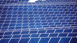 Le chiffre d'affaires de la branche photovoltaïque devrait dépasser les six milliards au bout de dix ans.