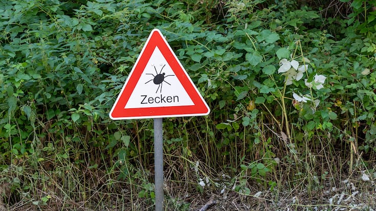 Zecken Gefahr Schild