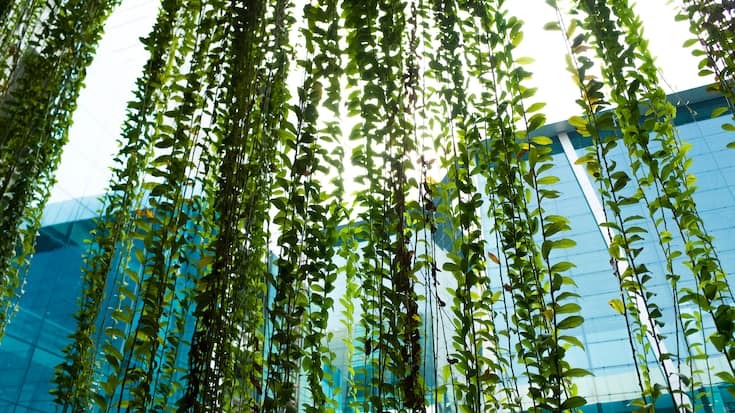 Nachhaltigkeit im Unternehmen