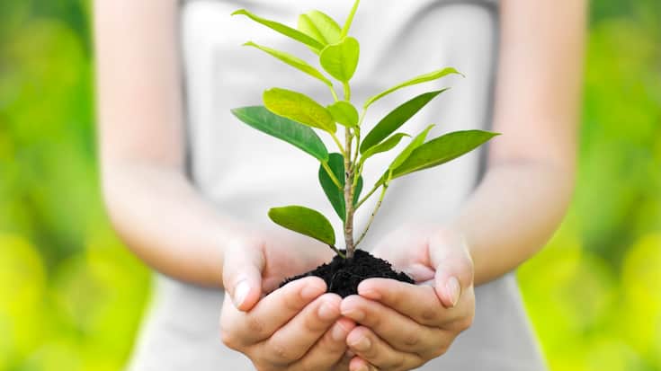 Impact Investing