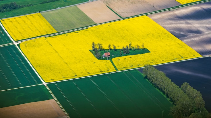 SCHWEIZ LANDWIRTSCHAFT RAPS
