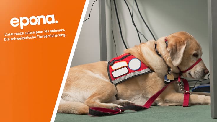 Epona Tierversicherung Assistenzhund