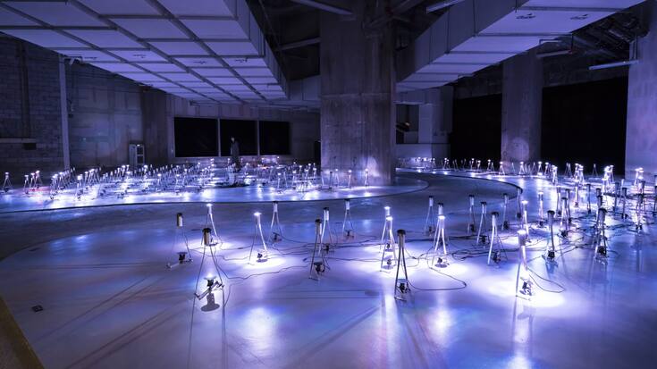 Lukas Truniger, Distributive intelligence | A group mind, 2021.