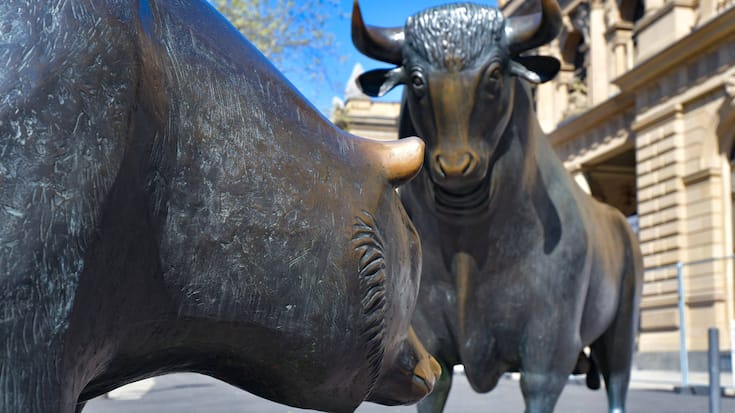 Stier Baer Boerse Aktien