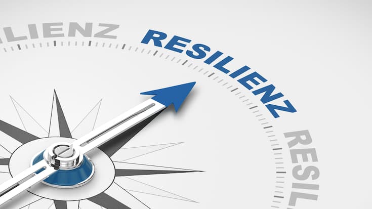 Resilienz