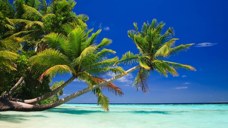 Tropical Paradise at Maldives Malediven