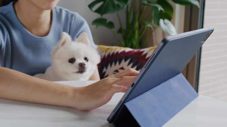 Online Tablet Internet