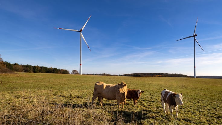Vestas Windturbinen
