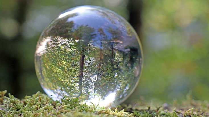 wald in kristallkugel, alpen, schweiz - Grüne Geldanlage, Greenwashing