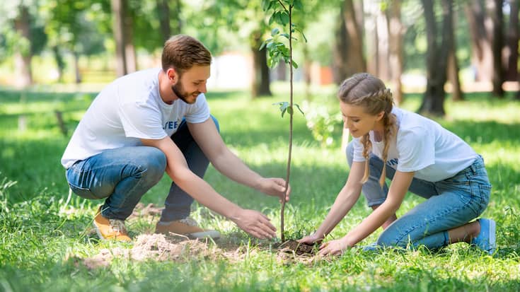 Junges Paar pflanzt Baum - Nachhaltigkeit