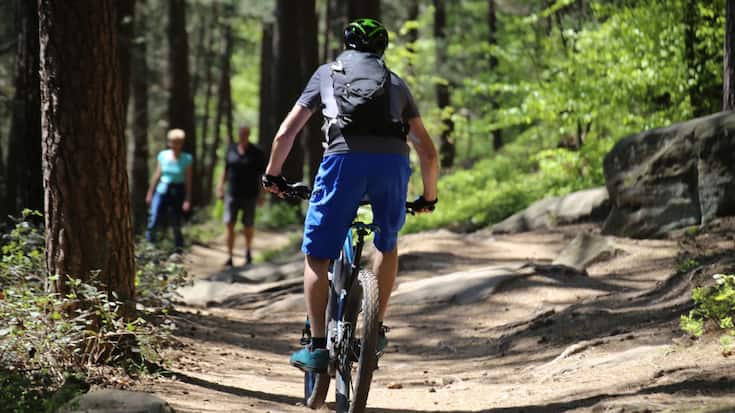 Mountainbiker im Wald