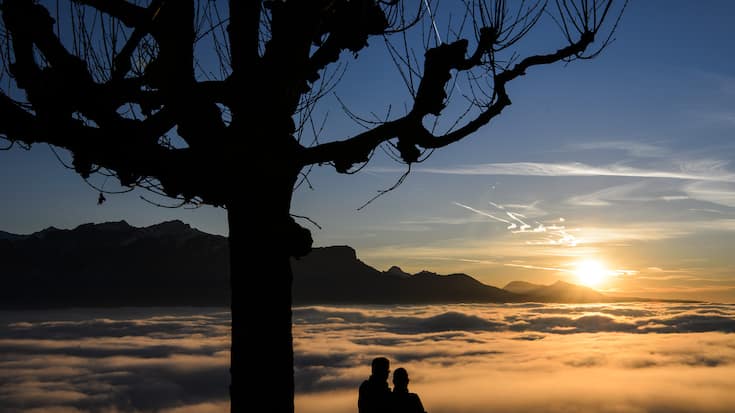 SCHWEIZ WINTER NEBEL
