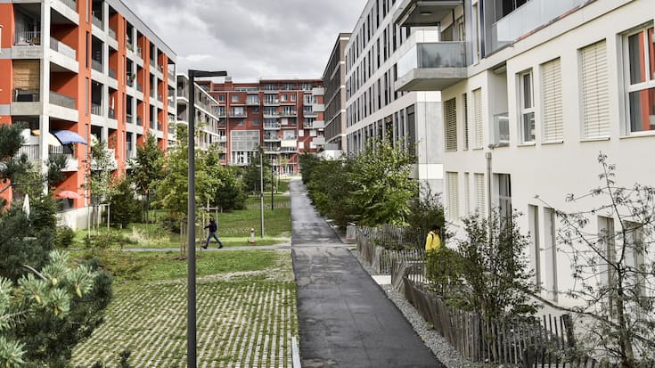 Bäume - Allee - Stadtgrün