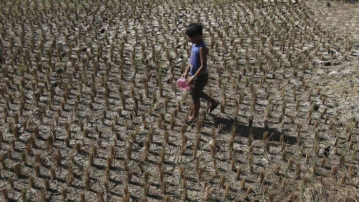 El Niño