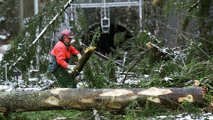 SCHWEIZ UNWETTER STURM LOTHAR SCHWEIZ UNWETTER STURM LOTHAR 27. Dezember 1999