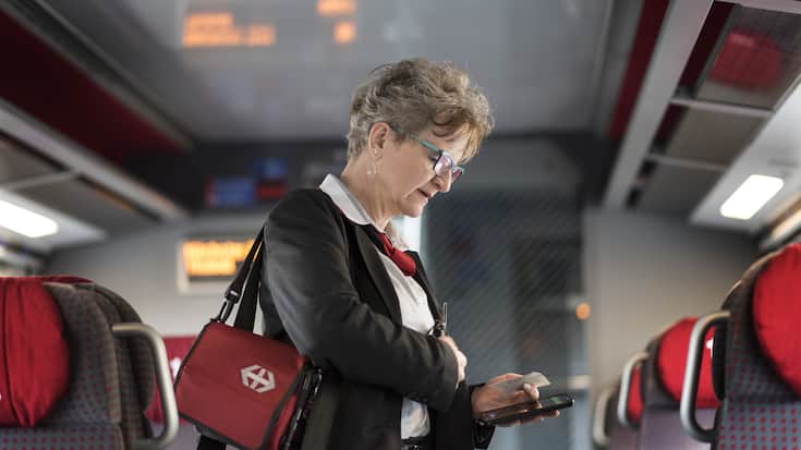 SCHWEIZ SBB BILLETKONTROLLE