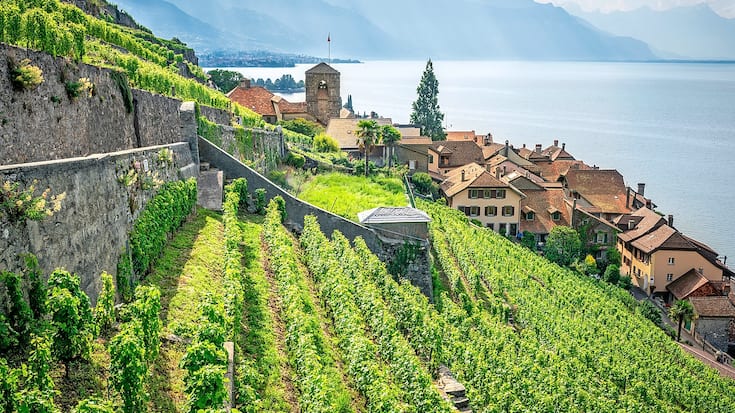 Weinberge Lavaux