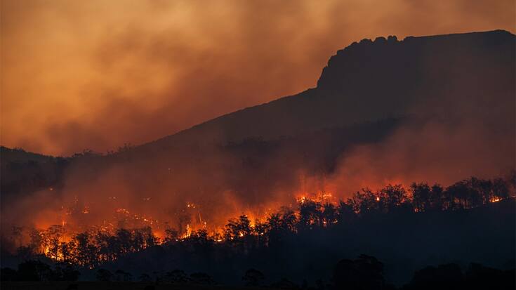 Waldbrand
