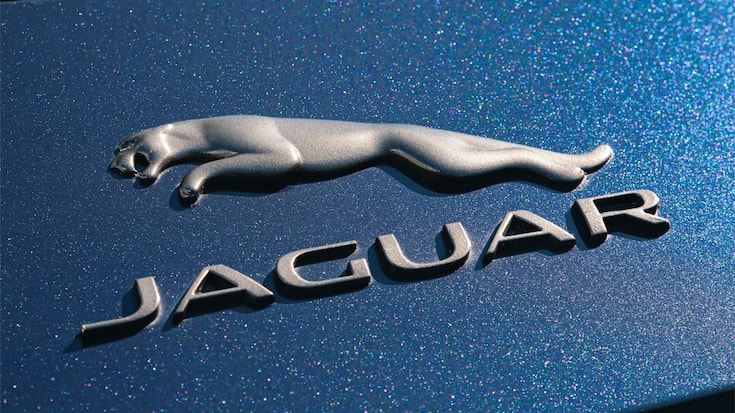 Jaguar