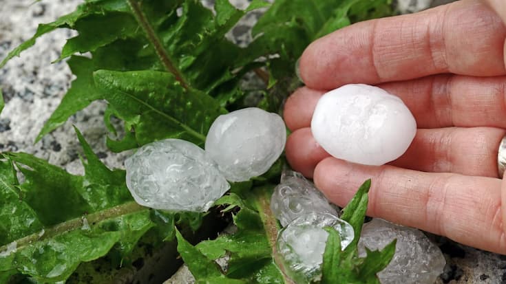 vor_allem_hagel_verursacht_massive_schaden.jpg