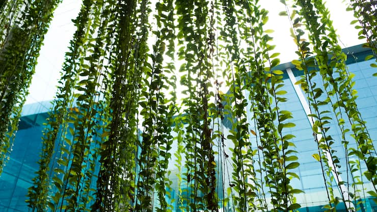 Nachhaltigkeit im Unternehmen