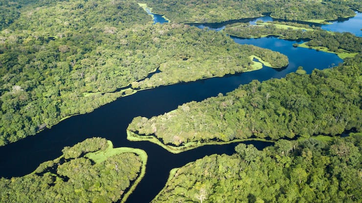 Amazonas-Regenwald - Brasilien