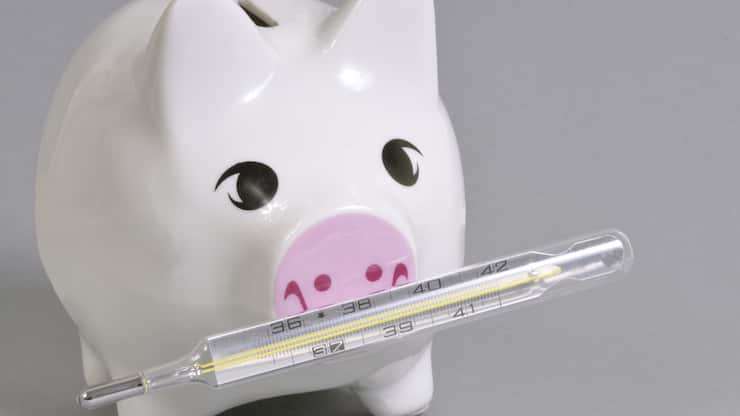 Schwein mit Fieberthermometer