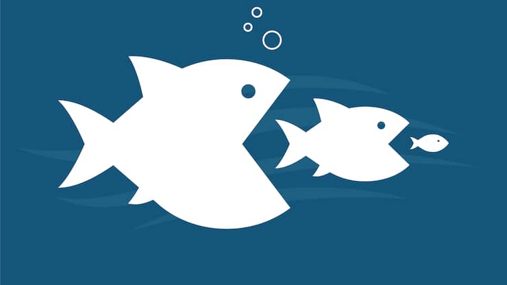 Food Chain Illustration