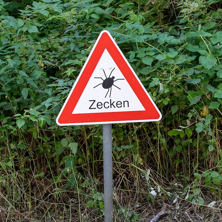 Zecken Gefahr Schild