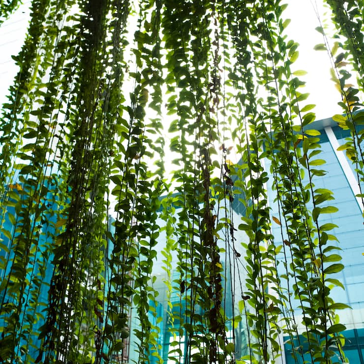 Nachhaltigkeit im Unternehmen