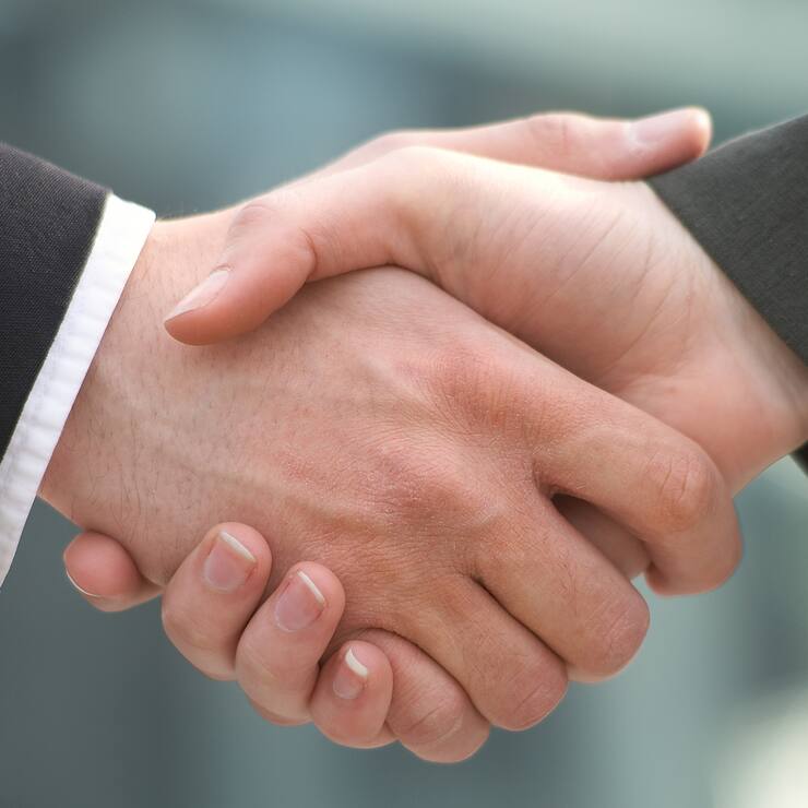 Shake Hands - Handschlag