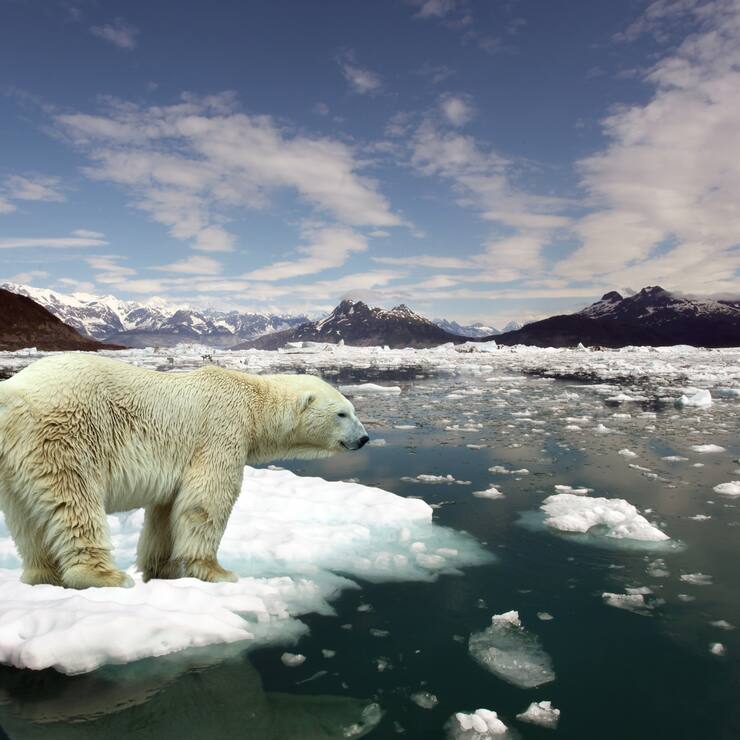 Klimawandel - Klimaerwärmung