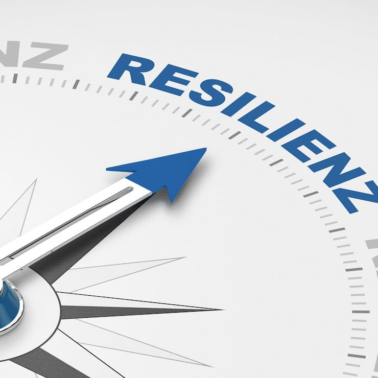 Resilienz