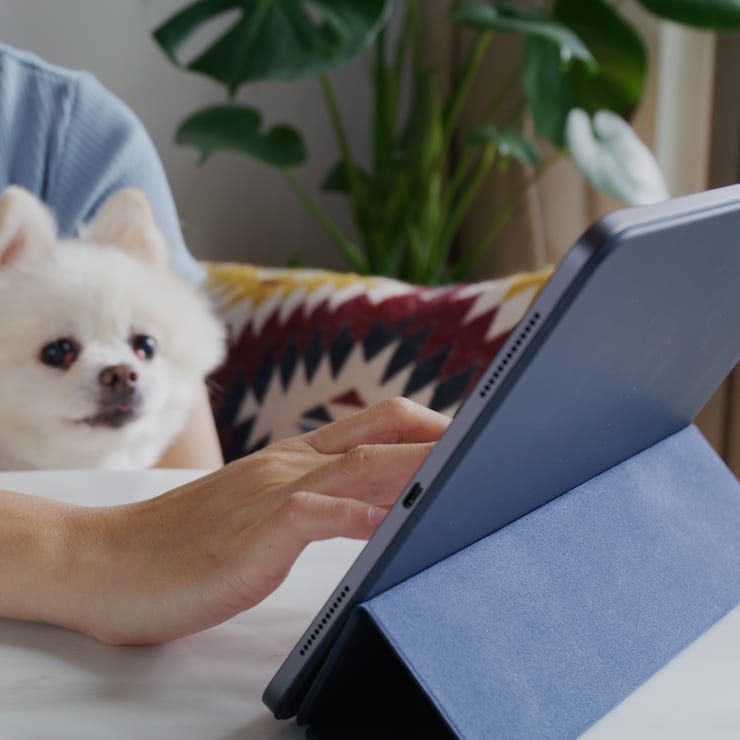 Online Tablet Internet