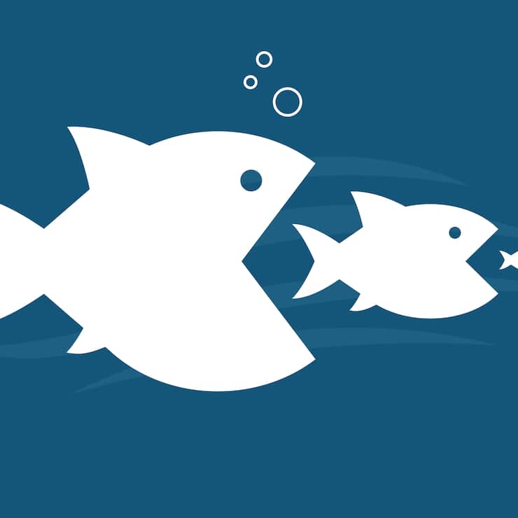 Food Chain Illustration