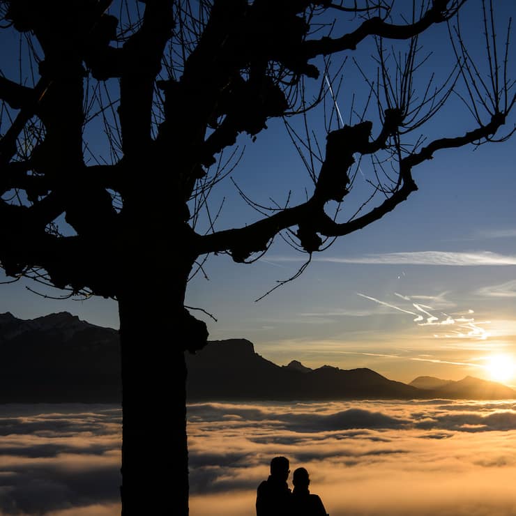 SCHWEIZ WINTER NEBEL