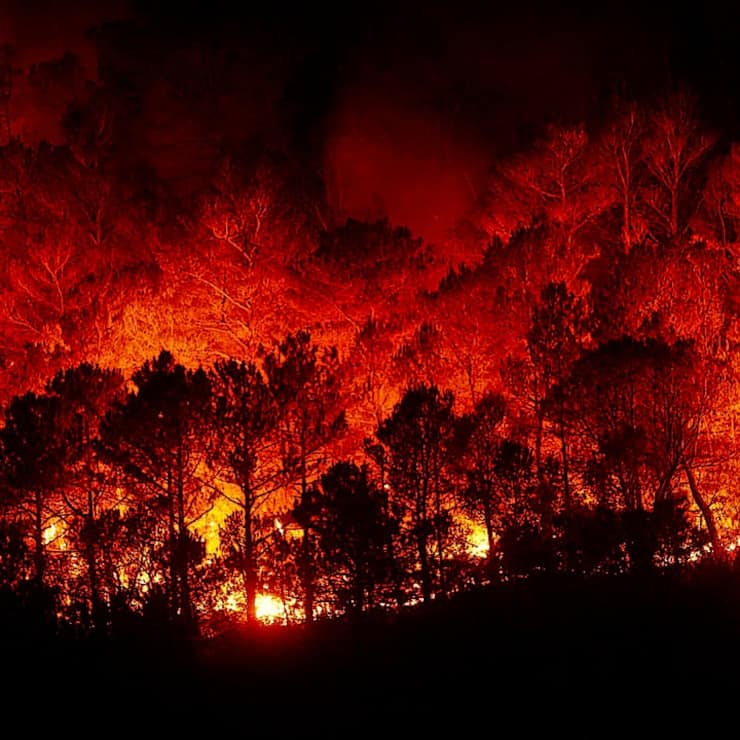 forest-fires-2930096_1280.jpg