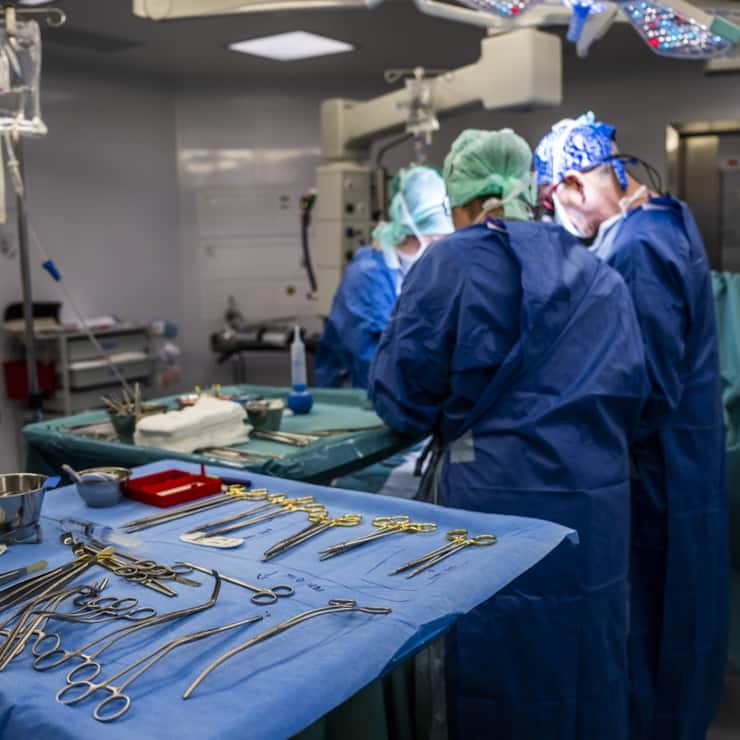 Organ-Transplantation