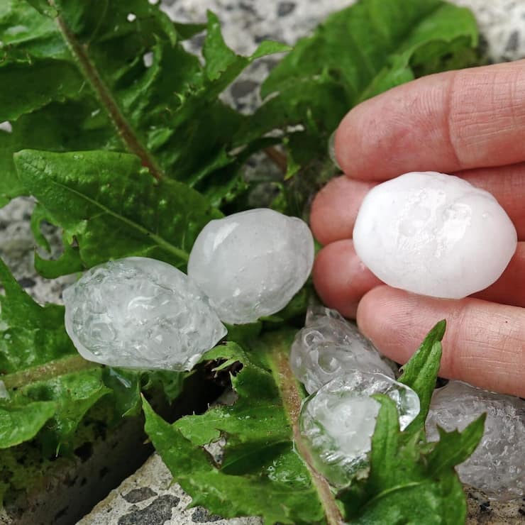 vor_allem_hagel_verursacht_massive_schaden.jpg