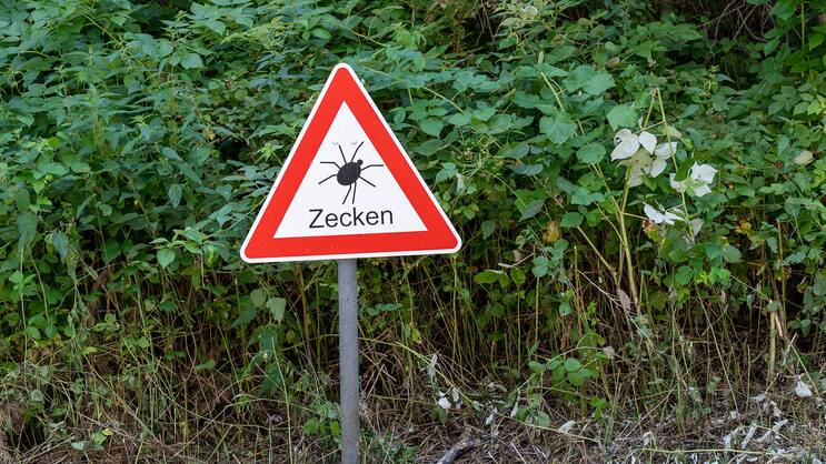 Die meisten Stiche ereignen sich in der Freizeit, vor allem zwischen Mai und Juli.