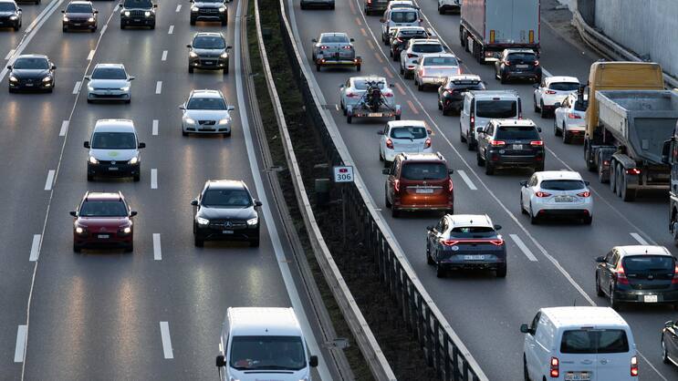 2024 wurden weniger Neuwagen als im Jahr zuvor eingelöst.